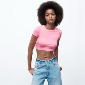 Zara Light Pink Crop Top